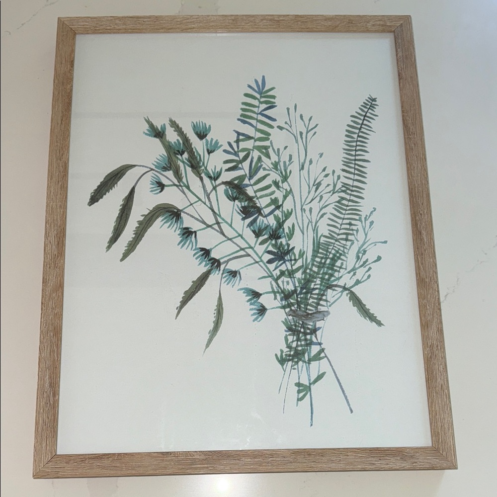 Framed Botanical Art Print - Picture 1 of 4